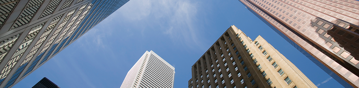 Milrose Consultants Newsletter